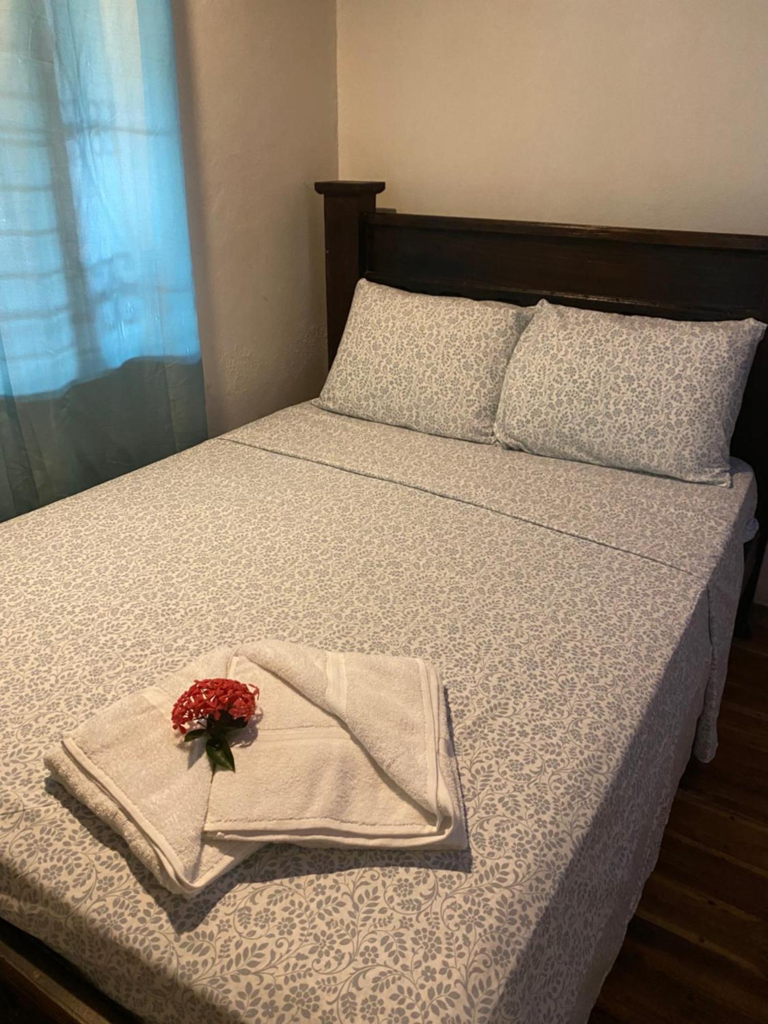 Mauras Tropical Mini Hostel & Tours Paquera Ngoại thất bức ảnh